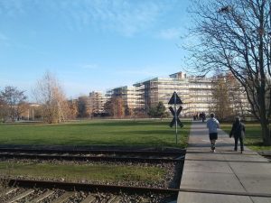 MoeckernKiez-1